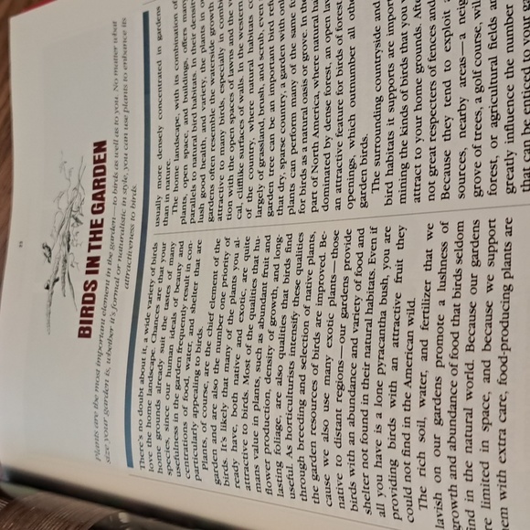 How to attract Birds/ BUNDLE ONLY 2or more items - Picture 8 of 16